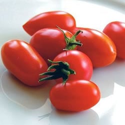 Juliet, (F1) Tomato Seeds | Urban Farmer