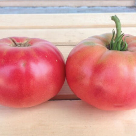 Pink Brandywine 'Sudduth's Strain', 100 seeds, huge beefsteak tomato,  luscious flavor, non GMO . - AliExpress
