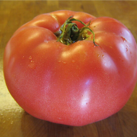 Purely Organic Ponderosa Red Beefsteak Tomato Seeds - USDA Organic, No –  SimplyGro