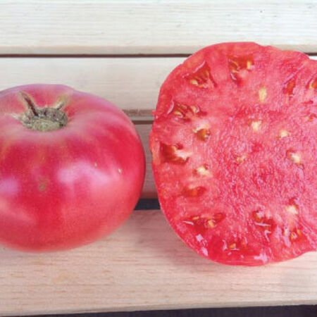 Tomato Brandywine Pink Best Tasting Tomatoes 30+ SEEDS HEIRLOOM
