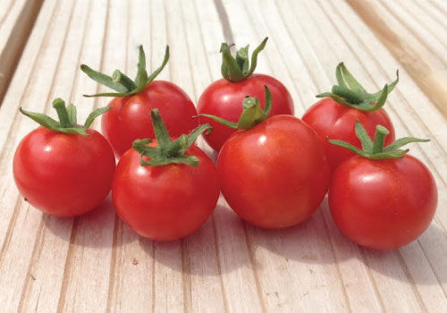 sweetie seedless tomato