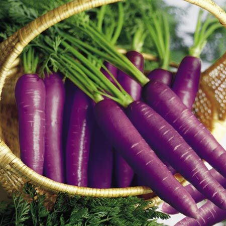 Cosmic Purple, Carrot Seeds - Packet image number null