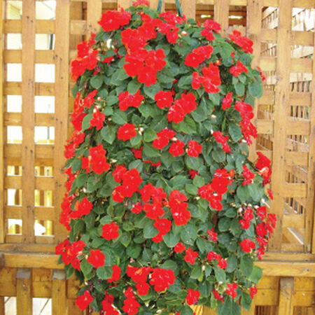 Buy Wholesale China Wall Hanging Planting Bags Flower Pot Grow Bag