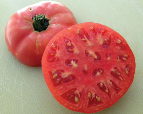 Tomato, Brandywine Sudduth`s Strain – LifeForce Seeds