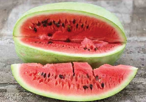 Charleston Grey Watermelon Seeds 