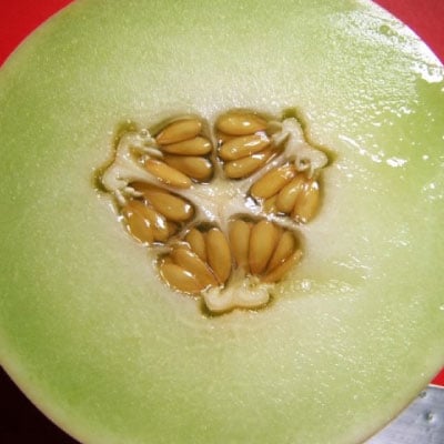 Fresh Honeydew Melon, Each