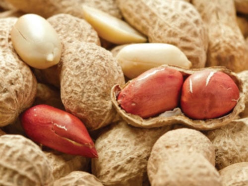Peanut Seeds, Flower Seeds in Packets & Bulk
