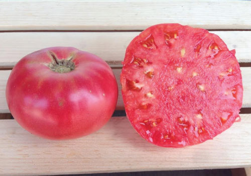 How to Grow and Care for Pink Brandywine Tomato