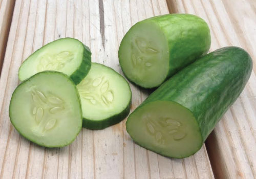 50 Muncher CUCUMBERS Seeds 