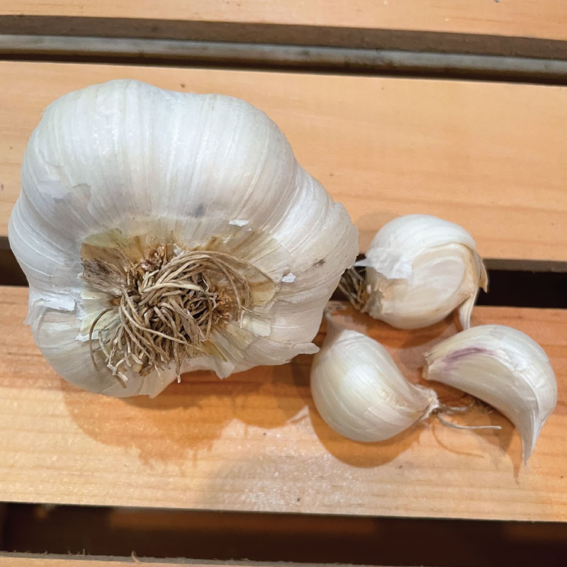 Image of Inchelium Red, Garlic