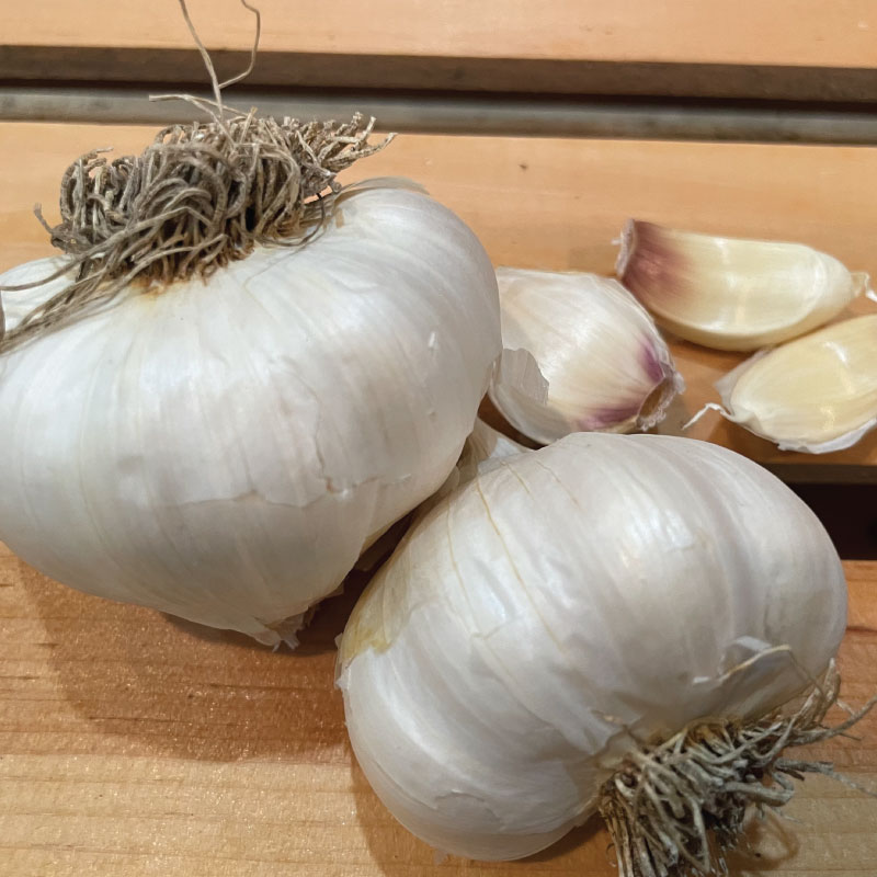Image of Nootka Rose, Garlic