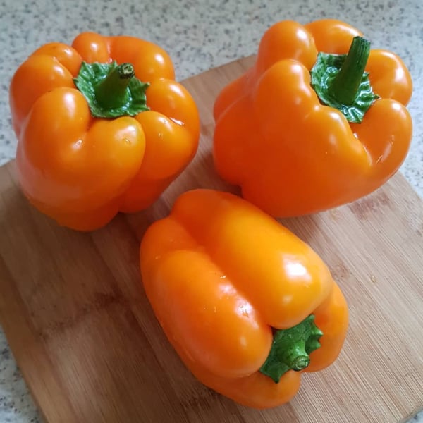 Image of Orange Sun, Pepper Seeds