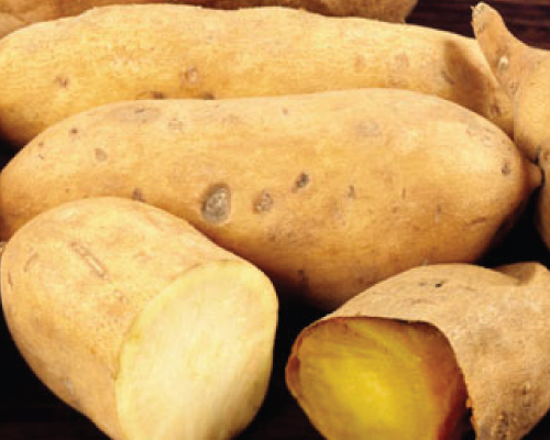 Image of White Yam, Sweet Potato Slips
