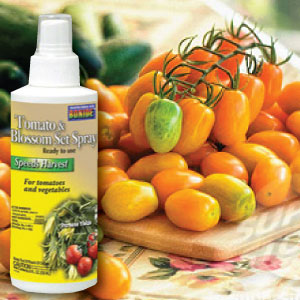 Tomato and Vegetable Blossom Spray,  Fertilizers